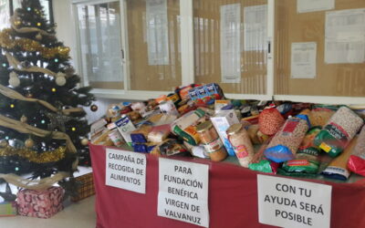 CAMPAÑA DE RECOGIDA DE ALIMENTOS