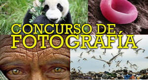 CONCURSO DE FOTORGAFÍA 2019